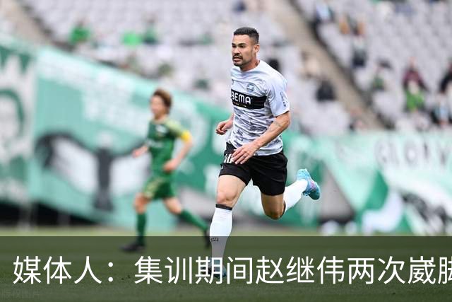 媒体人：集训期间赵继伟两次崴脚 大秋三宁李弘权高诗岩也都带伤