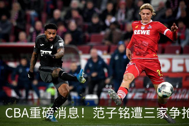 CBA重磅消息！范子铭遭三家争抢 杜锋是心理学博士 刘铮回上海男篮